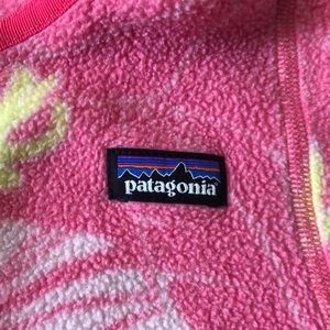 Patagonia hoodie